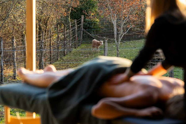 Massage relaxant sur la terrasse